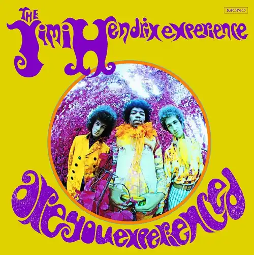Couverture Are You Experienced