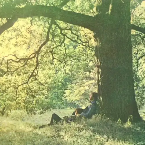 Couverture Plastic Ono Band