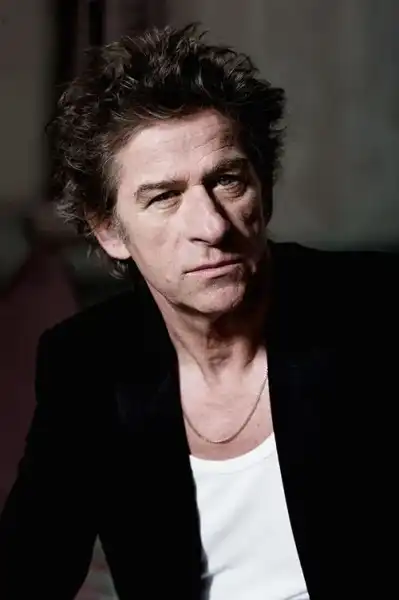 Hubert Felix Thiefaine